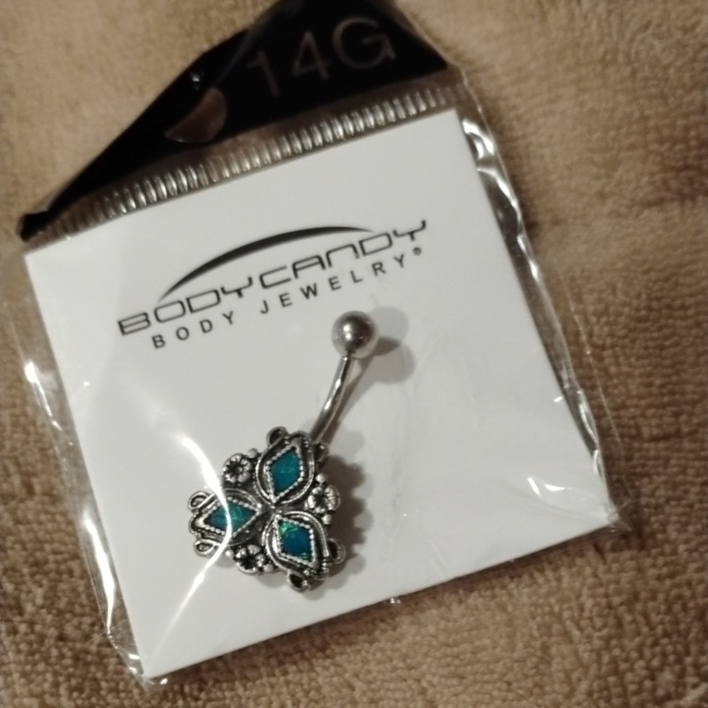 Body Candy Silver and Blue Butterfly Earrings